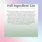 Round Lab Mugwort Calming Cleanser 150mL – Wholesale (12 pcs/carton)