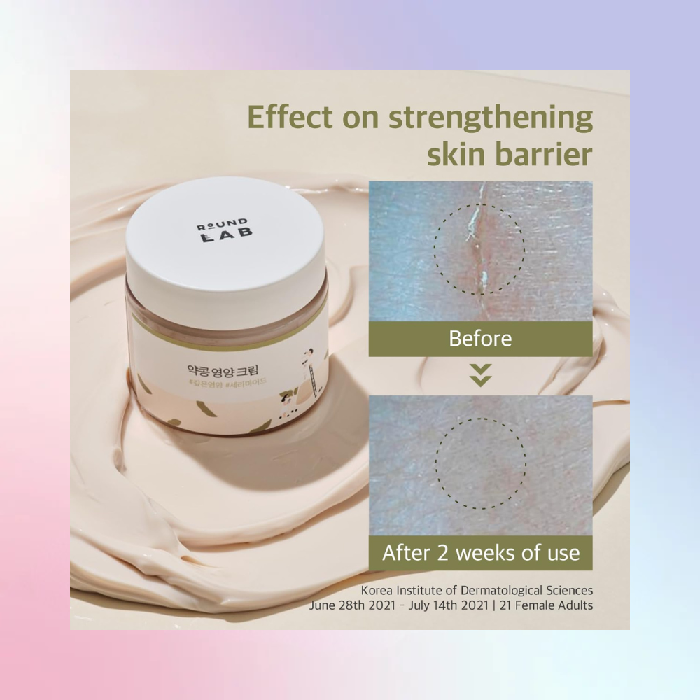 Round Lab (Renewal) Soybean Panthenol Cream 80mL – Wholesale (12 pcs/carton)