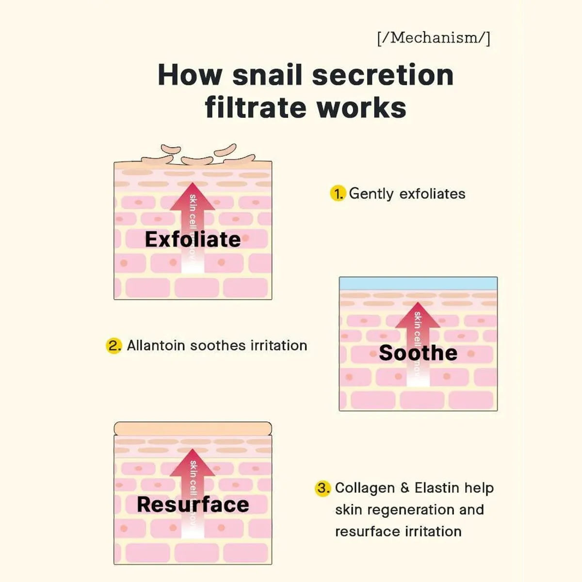 COSRX Advanced Snail 92 All In One Cream 100g – Wholesale (60 pcs/carton)