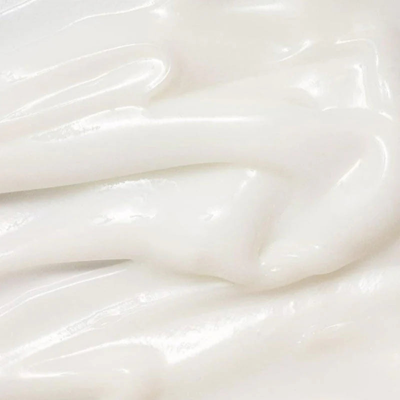 BEAUTY OF JOSEON Dynasty Cream 100ml – Wholesale (100 pcs/carton)